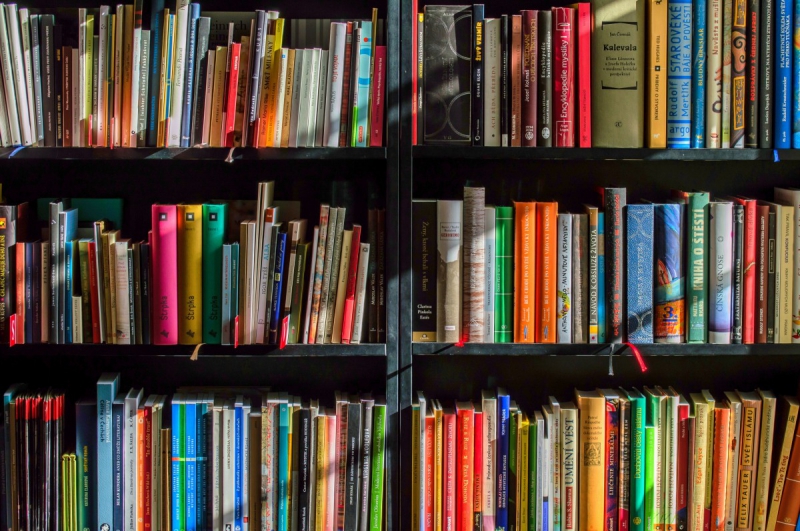 vitrine-ASPREMONT-min_books_bookstore_book_reading_shop_writer_sale_books_read-822866
